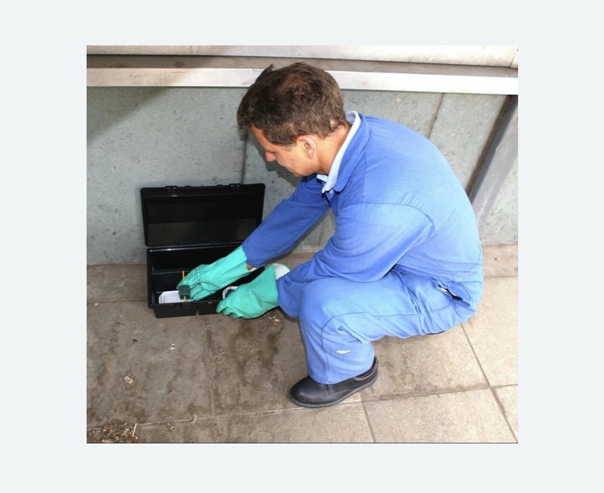 Дератизация помещения в Нижних Сергах Дератизация помещения