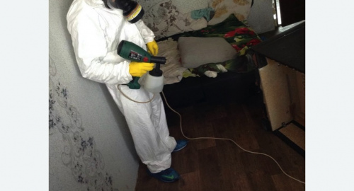 Обработка квартир от насекомых в Нижних Сергах