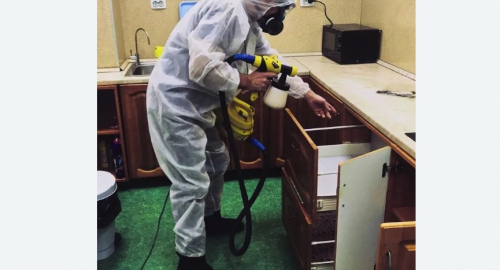 Дезинсекция квартиры. Нижние Серги