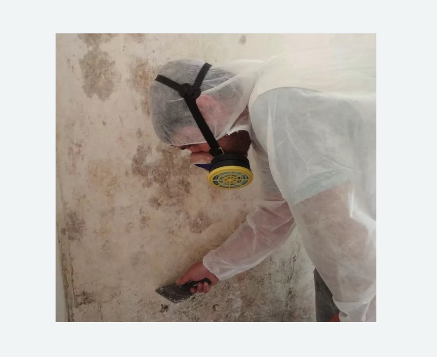 Обработка стен от плесени Обработка стен от плесени в Нижних Сергах