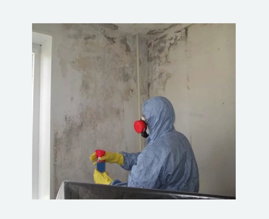 Удаление плесени в квартире Удаление плесени в квартире в Нижних Сергах