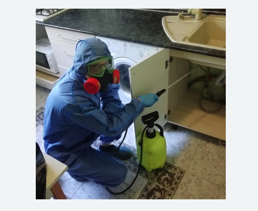 обработка от муравьев в квартире обработка от муравьев в квартире в Нижних Сергах