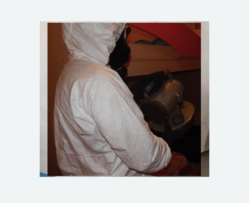 Дезинфекция от муравьев Дезинфекция от муравьев в Нижних Сергах